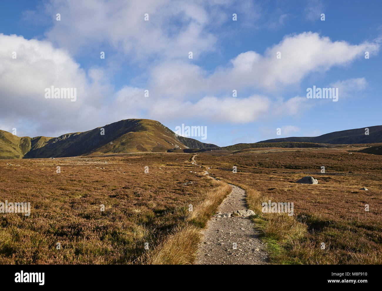 Sie suchen den Berg weg in die grünen Hügel und Loch Brandy in Glen Clova, in der Angus Glens von Schottland. Stockfoto