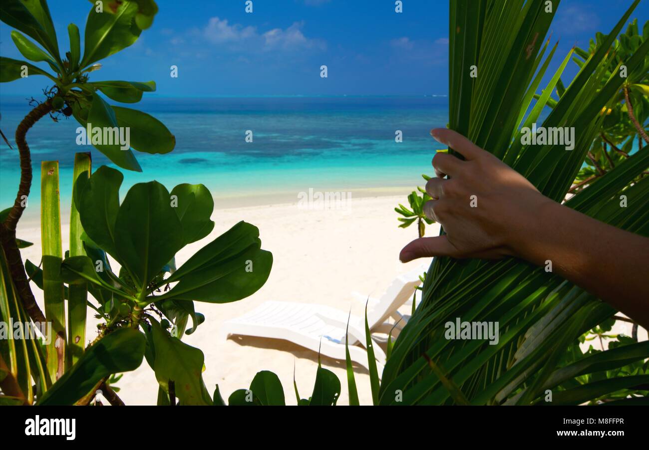 Paradise Beach auf dem Ocean Island Stockfoto