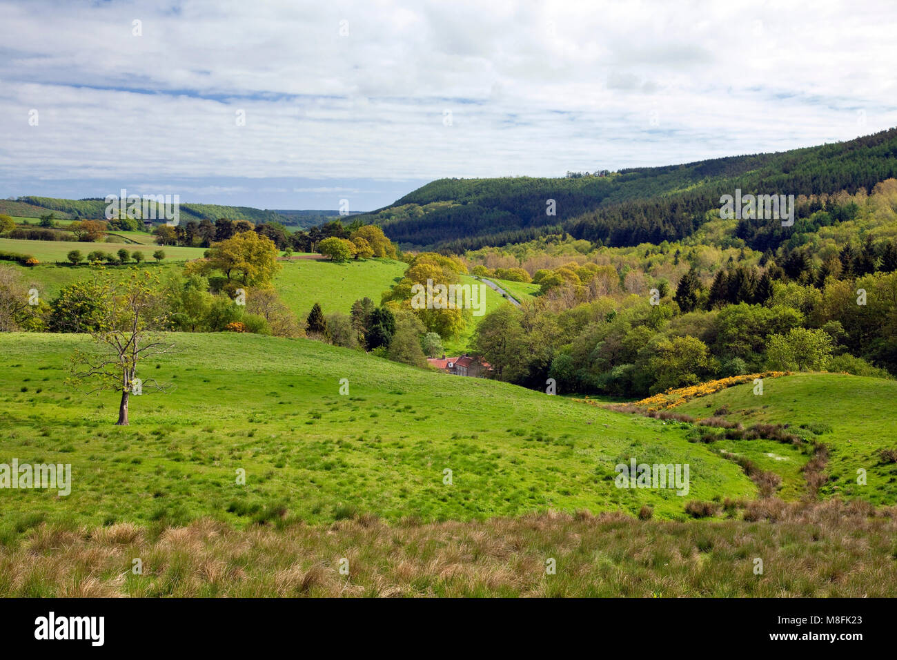 Troutsdale North York Moors North Yorkshire Stockfoto