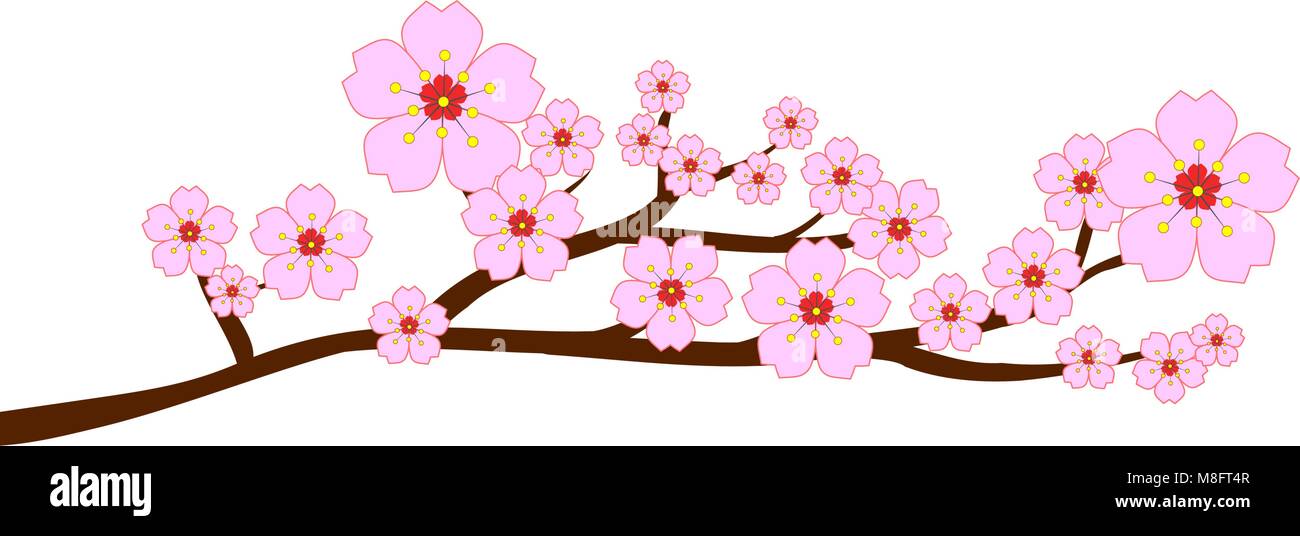 Voller Blüte Kirschblüten und Blas-/fliegen Blütenblätter auf weißem Hintergrund. Vector Illustration. Stock Vektor