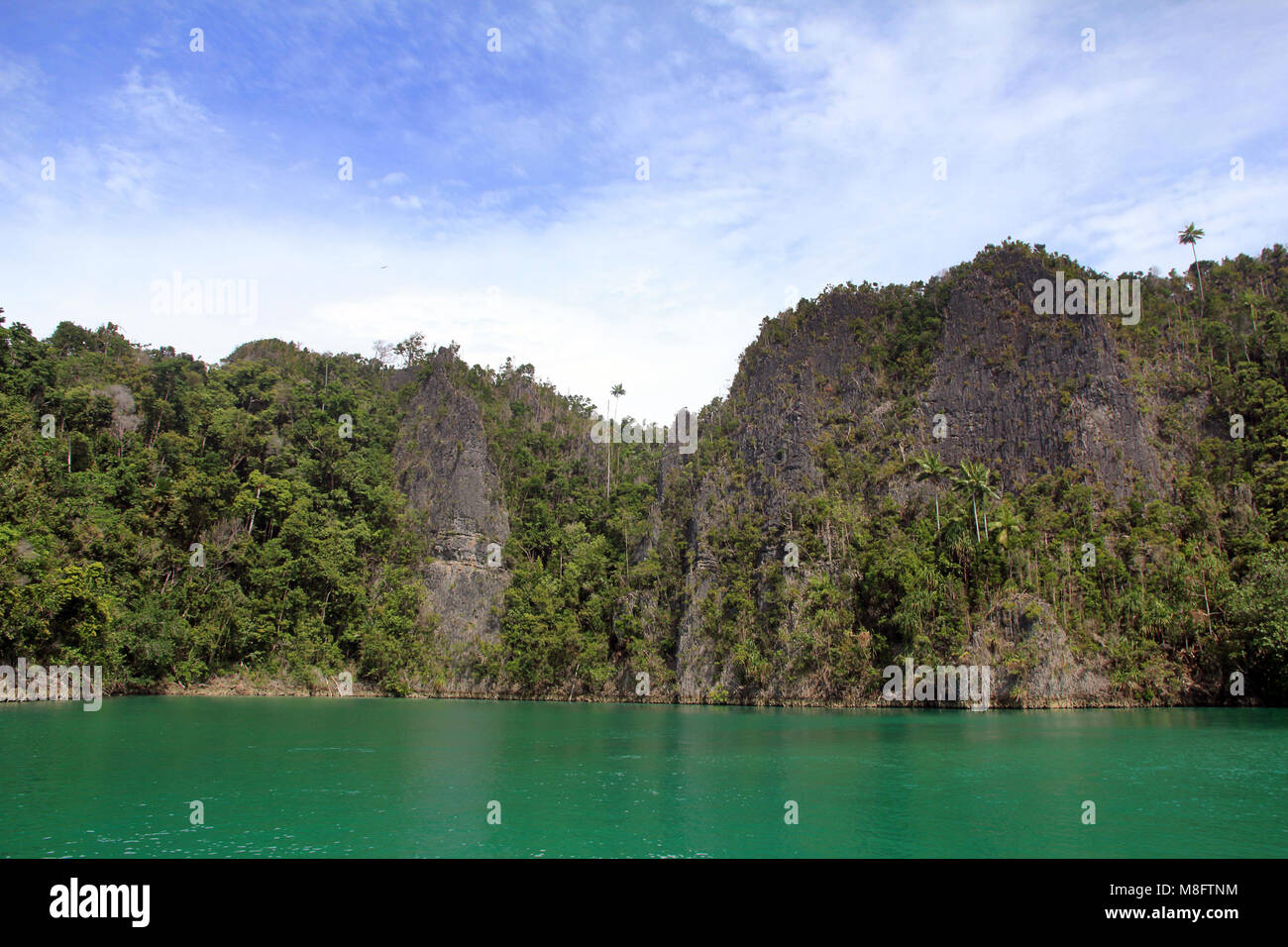 Waisai, Indonesien. 30 Dez, 2017. Raja Ampat Inseln ist eine Serie von vier angrenzenden Insel Cluster im westlichen Teil der Insel Papua. Raja Ampat ist berühmt für die Schönheit der kleinen Inseln besteht, gibt es Piaynemo Insel, Misool Insel und Wayag Insel. Credit: Yogi Aron Sidabariba/Pacific Press/Alamy leben Nachrichten Stockfoto