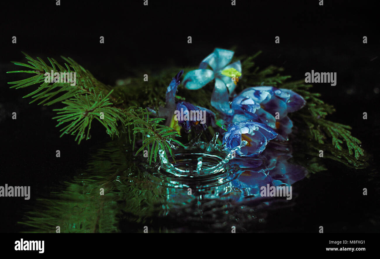 Wassertropfen auf Piniennadeln und Blume Blütenblatt - Makro Foto von Wassertröpfchen mit Reflexionen auf piniennadeln und eine rote und gelbe Blume. Gre Stockfoto