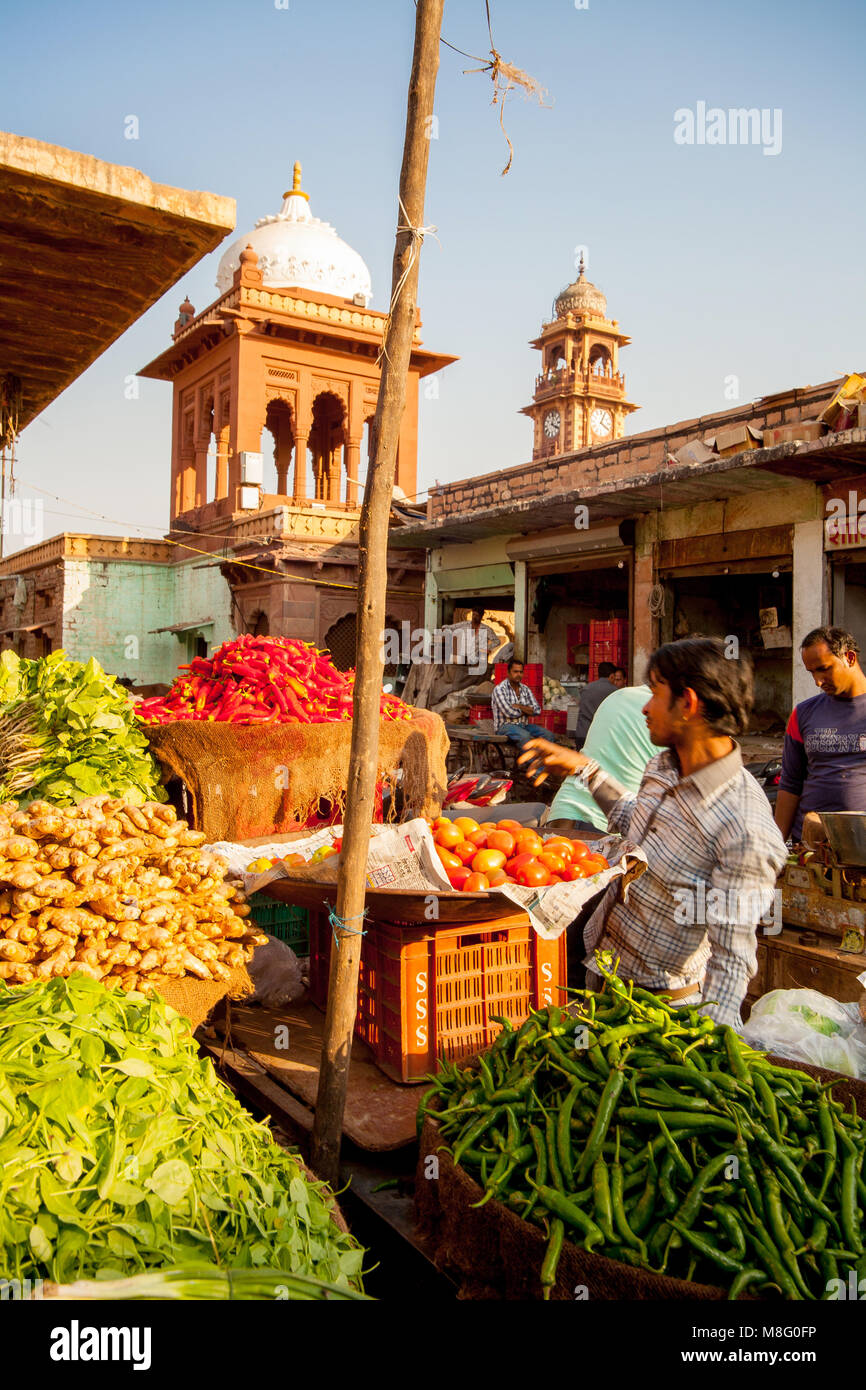 Ein junger indischer Mann an Clock Tower Markt in Jodhpur Indien verkaufen produzieren, während der schönen sonnigen Tag. Er verkauft grüne Paprika, Spinat, Kartoffeln, Stockfoto