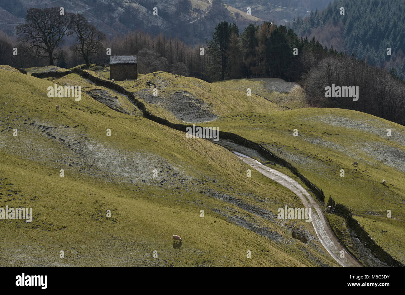 Bell Hagg Scheune, der Peak District, England (12) Stockfoto