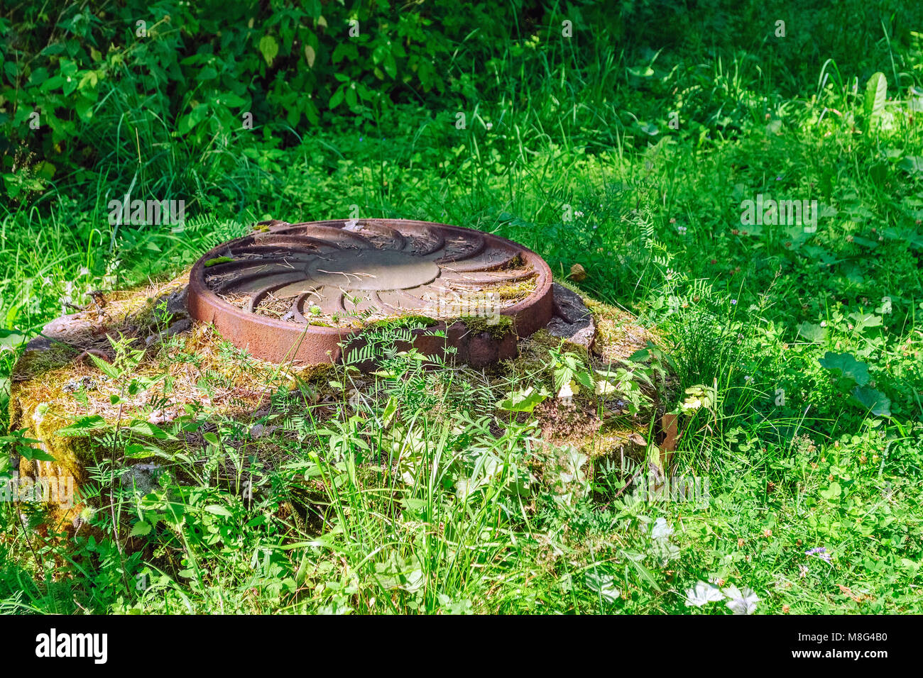 Gusseisen Abdeckung auf das Mannloch und Kanalisation Kammer unter dem grünen Gras. Stockfoto