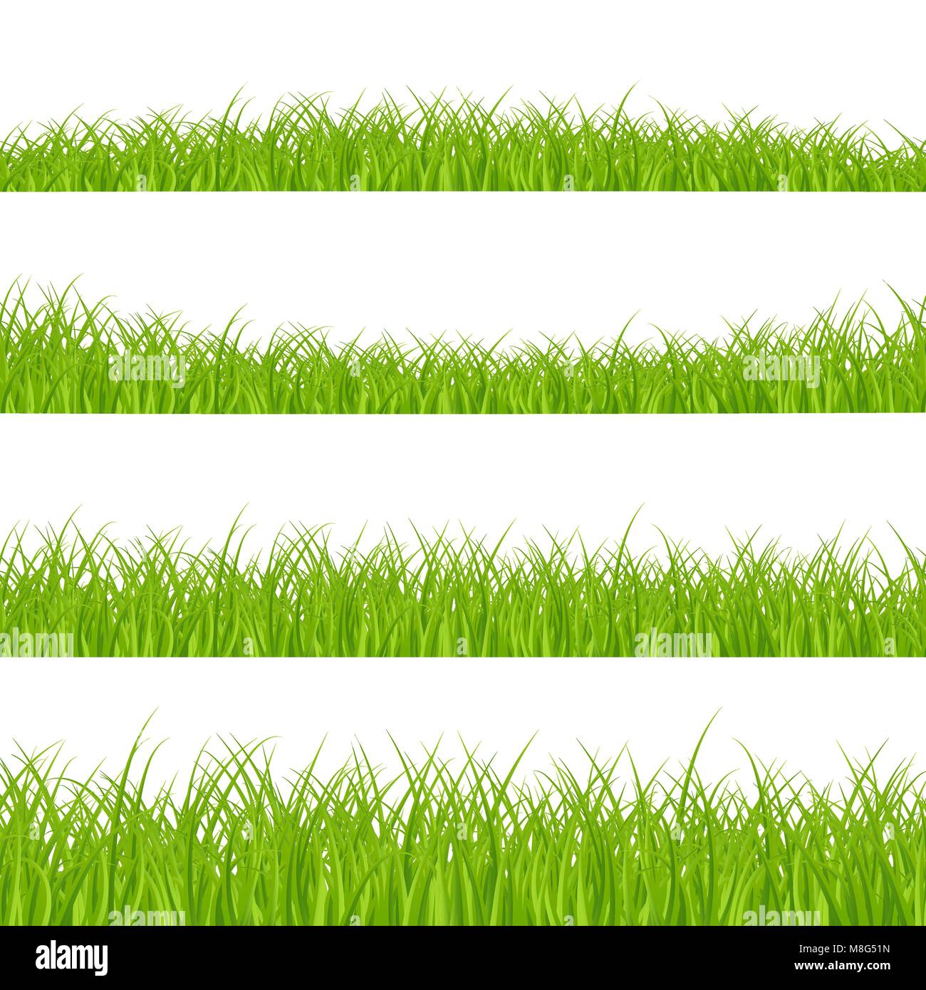 Gras Grenzen gesetzt. Gras Anlage Panorama. Gras Grenze oder Rahmen. Vector Illustration auf weißem Hintergrund Stock Vektor