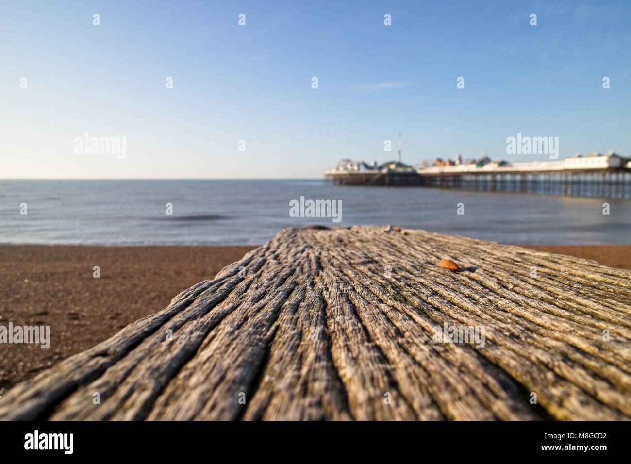 Alte hölzerne groyne in Richtung Brighton Palace Pier in Sussex UK zeigen Stockfoto