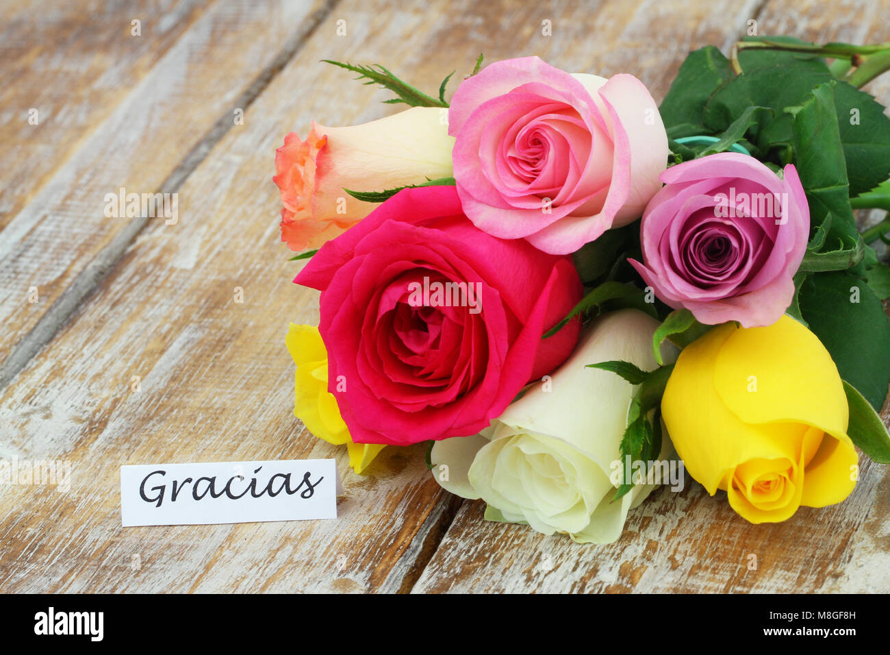 Gracias (vielen Dank, dass Sie sich in Spanisch) Karte mit bunten Rose Bouquet auf Holzmöbeln im Landhausstil Oberfläche Stockfoto
