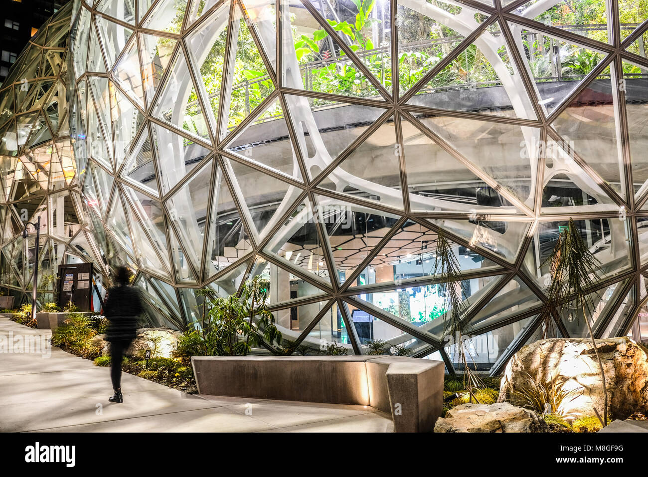 Der glaskuppel Sphären bei Amazon Hauptquartier in der Nacht in der Innenstadt von Seattle Stockfoto