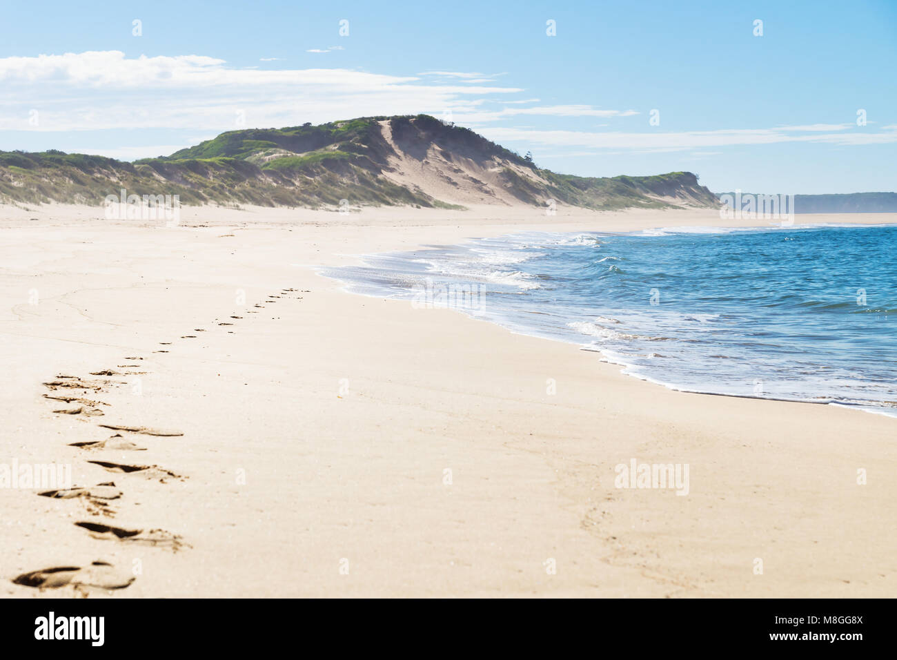 Spuren am Strand von Peterborough an der Great Ocean Road, Victoria, Australien Stockfoto