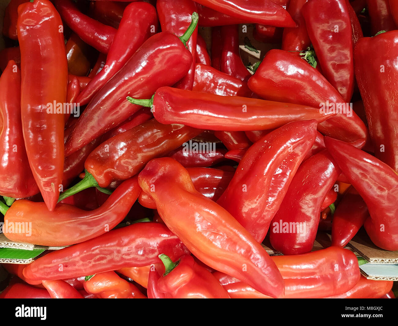 Pepers rot Flor für Essen farben Hintergrund Stockfoto