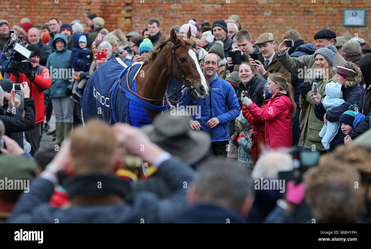 Native bei Gold Cup Sieger Parade am Virginia Esche, Templecombe. Stockfoto