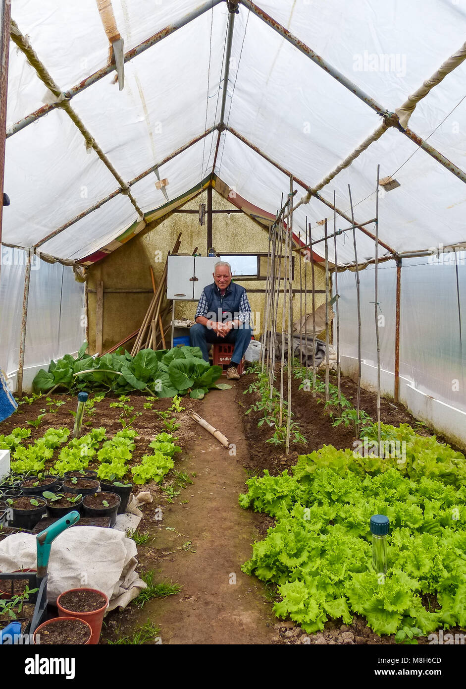 Gruppe von Zuteilungs-Parzellen, wo Land für Rentner parceled, um dort eigenes Gemüse als Hobby anzubauen - Trient, Norditalien, Europa Stockfoto