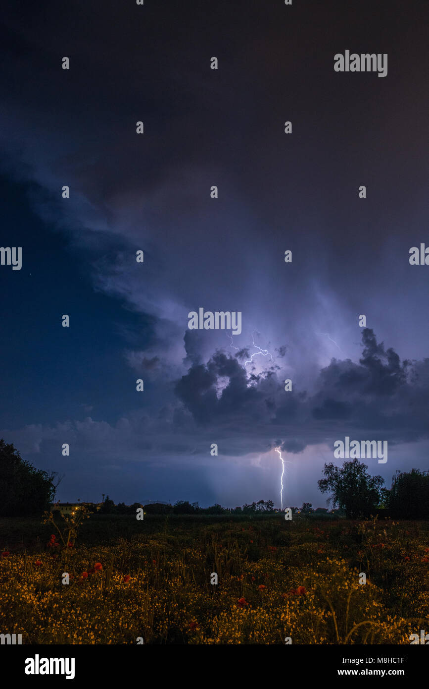 Riesige Blitz schlägt den Boden, kommen einen thunderhead während einem Sommer Sturm gebildet. Pflanzen, Bäume und Hügel am Horizont. Stockfoto