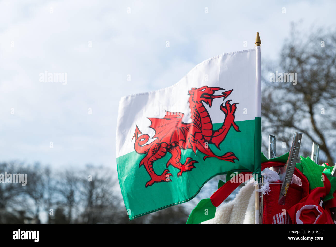 6 Nationen Rugby 2018 Wales vs Frankreich im Millennium Stadium in der walisischen Hauptstadt Cardiff Stockfoto
