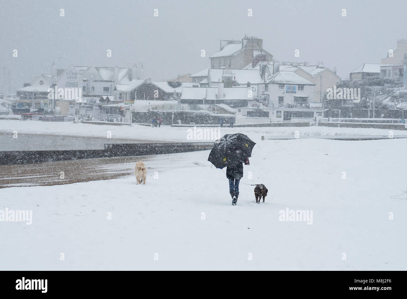 Schnee in Lyme Regis, 18. März 2018. UK Wetter: Eine junge Frau kämpft mit ihrem Schirm, wie Sie geht ihre Hunde am Strand in der Grafschaft Dorset an der Küste von Lyme Regis, wie das Tier aus dem Osten 2 Hdo. Kredit Celia McMahon/Alamy leben Nachrichten. Stockfoto