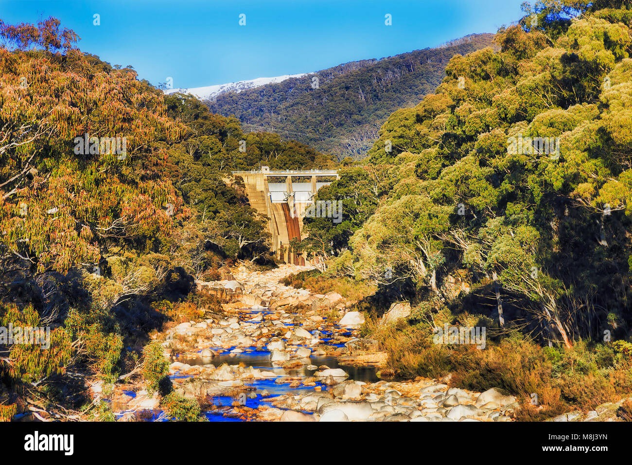 Damm auf Guthega Snowy River Fensterläden Mountain Stream von Wasser als Teil der Snowy hydro Stromerzeugung Regelung von NSW, Australien. Evergreen Gummi - Tre Stockfoto