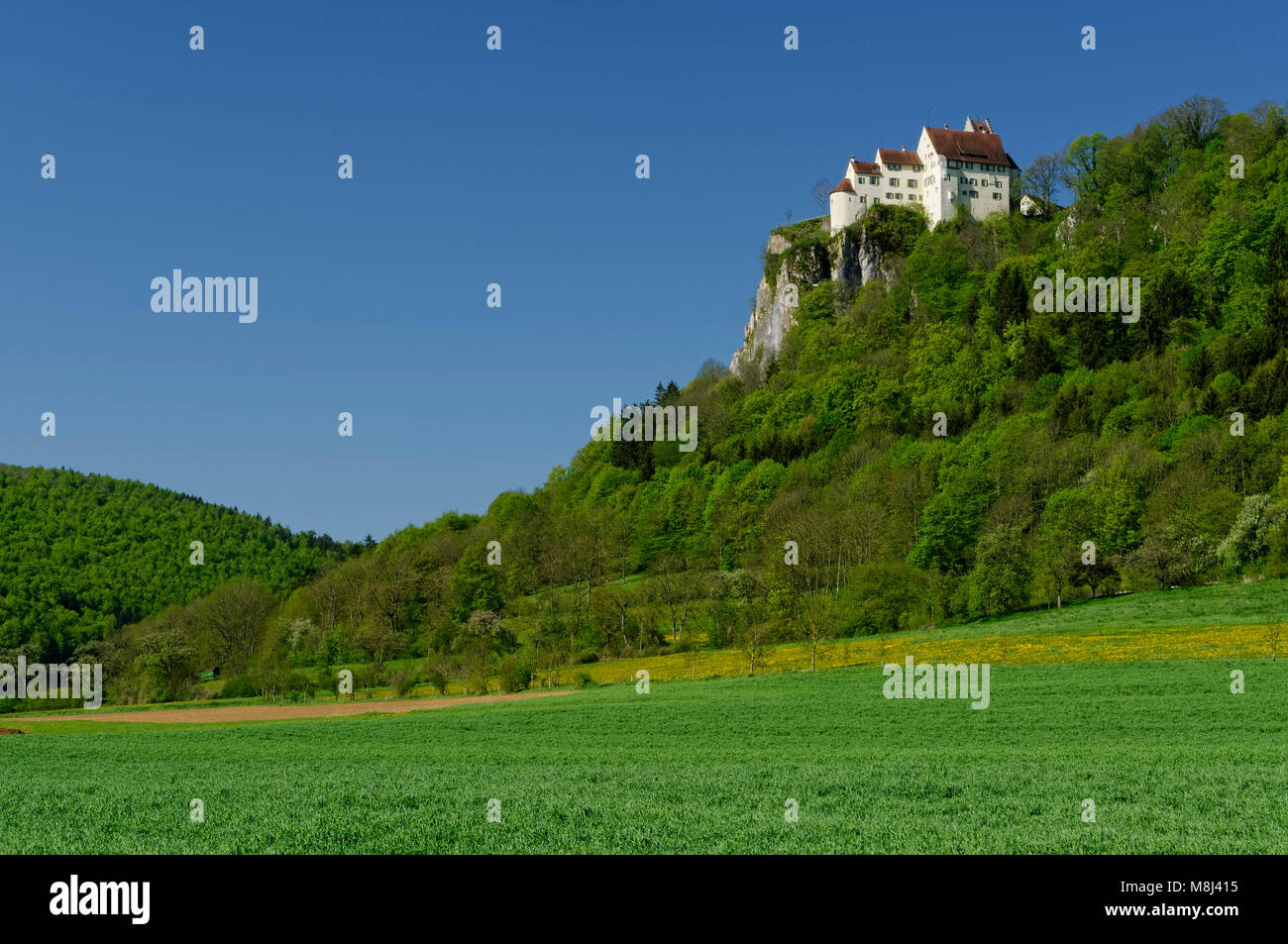 Schloss Werenwag bei Beuron im oberen Donautal (Oberes Donautal), Landkreis Sigmaringen, Baden-Württemberg, Deutschland Stockfoto