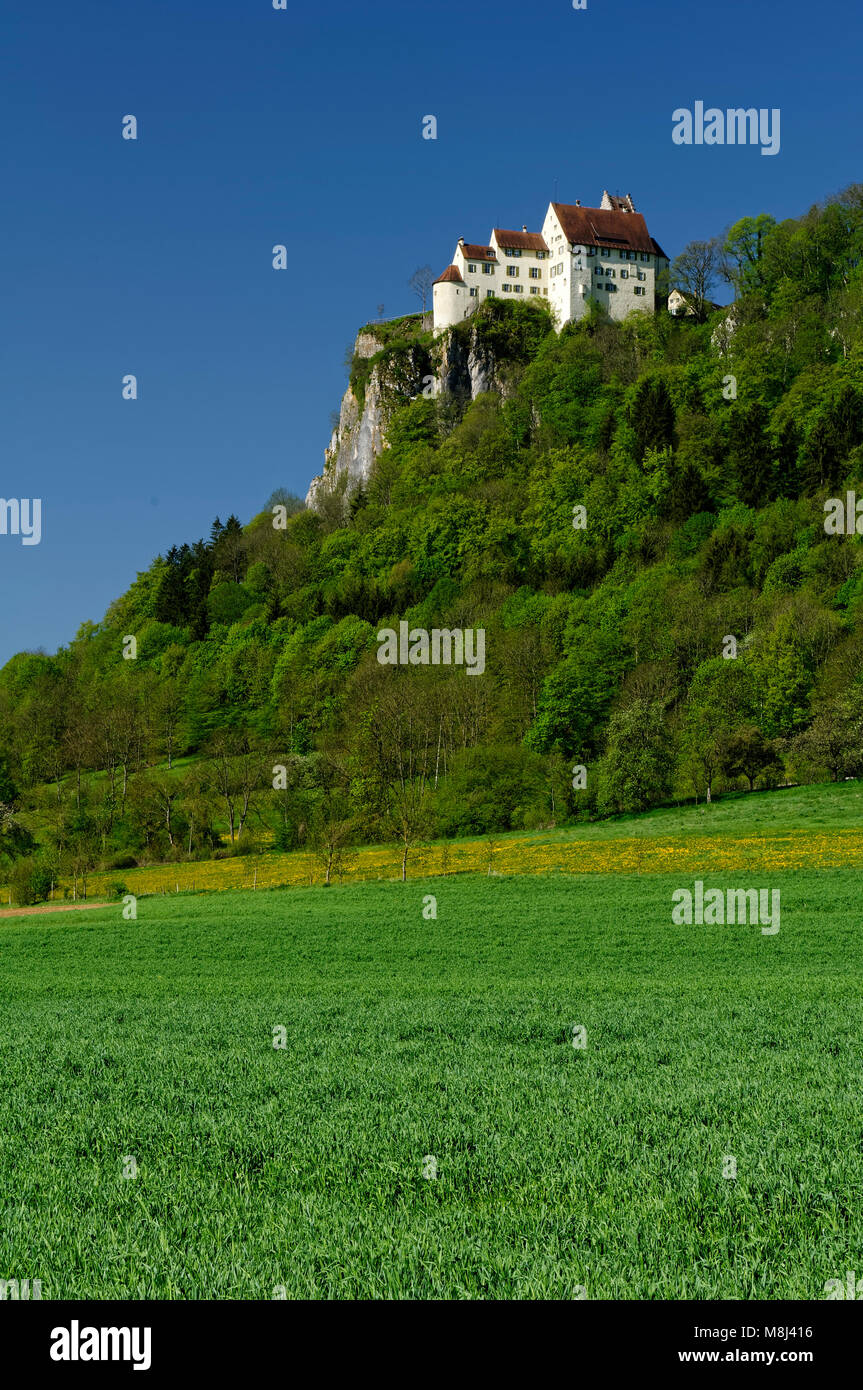 Schloss Werenwag bei Beuron im oberen Donautal (Oberes Donautal), Landkreis Sigmaringen, Baden-Württemberg, Deutschland Stockfoto