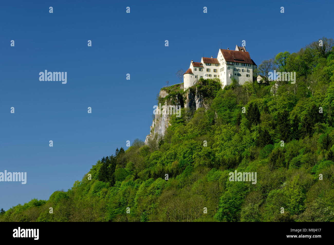 Schloss Werenwag bei Beuron im oberen Donautal (Oberes Donautal), Landkreis Sigmaringen, Baden-Württemberg, Deutschland Stockfoto