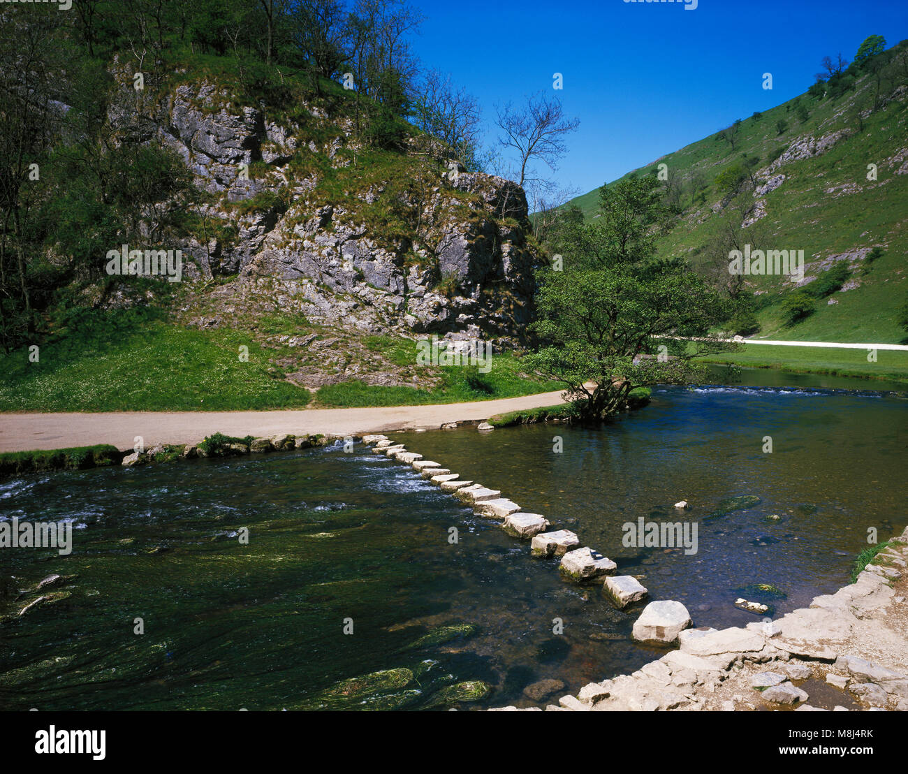Die Trittsteine über den Fluss Dove, Dovedale Derbyshire England Großbritannien Stockfoto