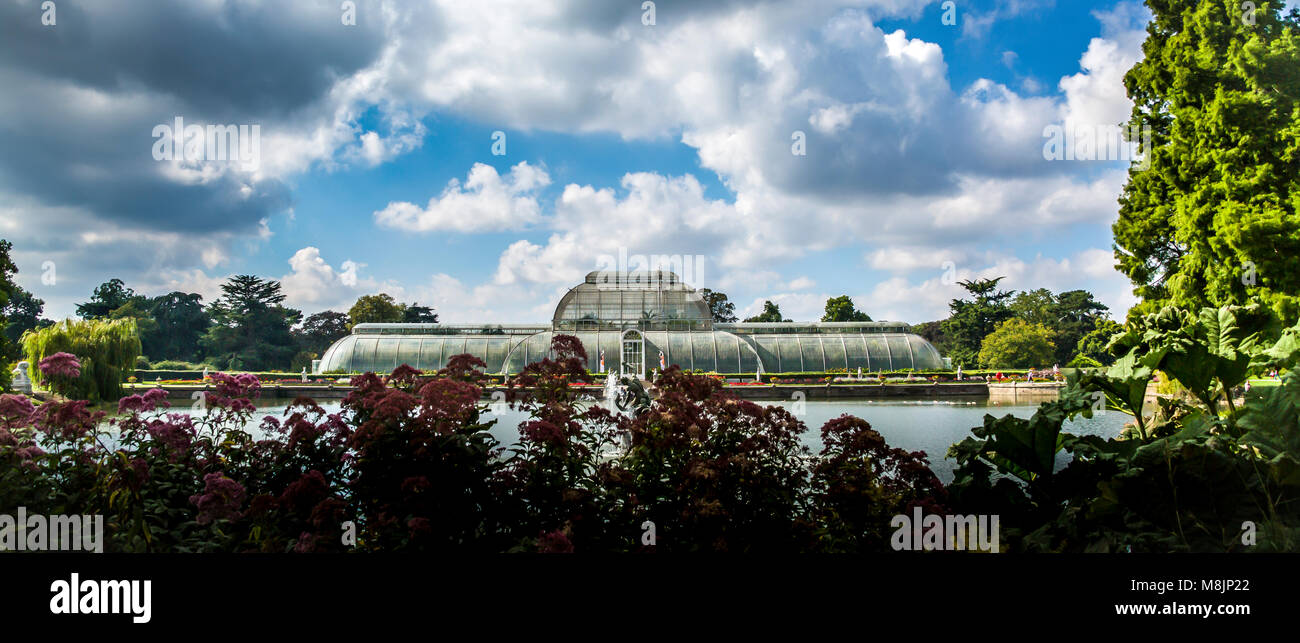 Der viktorianische Palm House sitzt ernährte Bäume und Pflanzen in der herrlichen Königlichen Botanischen Gärten in Kew umgeben Stockfoto
