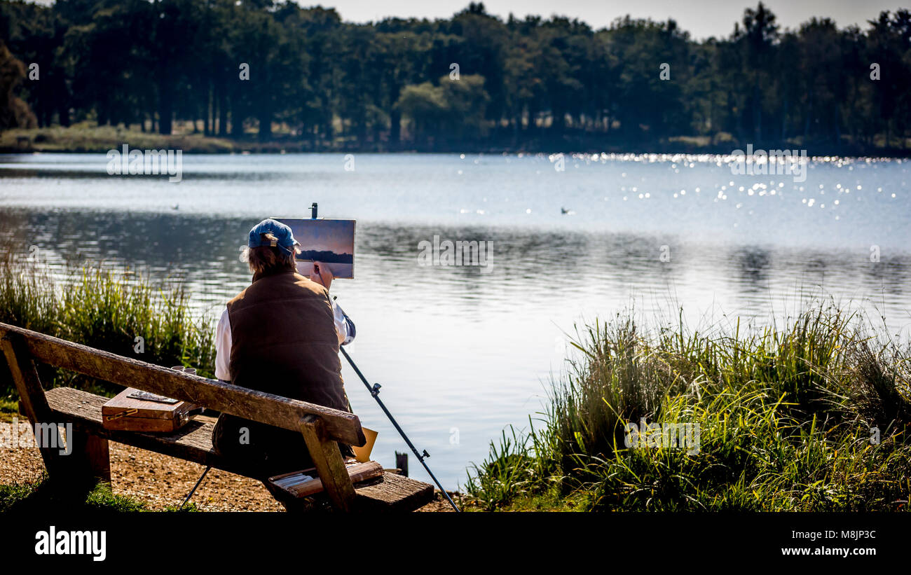 Pen Teich Teich Leben ist von einer sitzenden Künstlerin in Londons berühmten Richmond Park erfasst Stockfoto