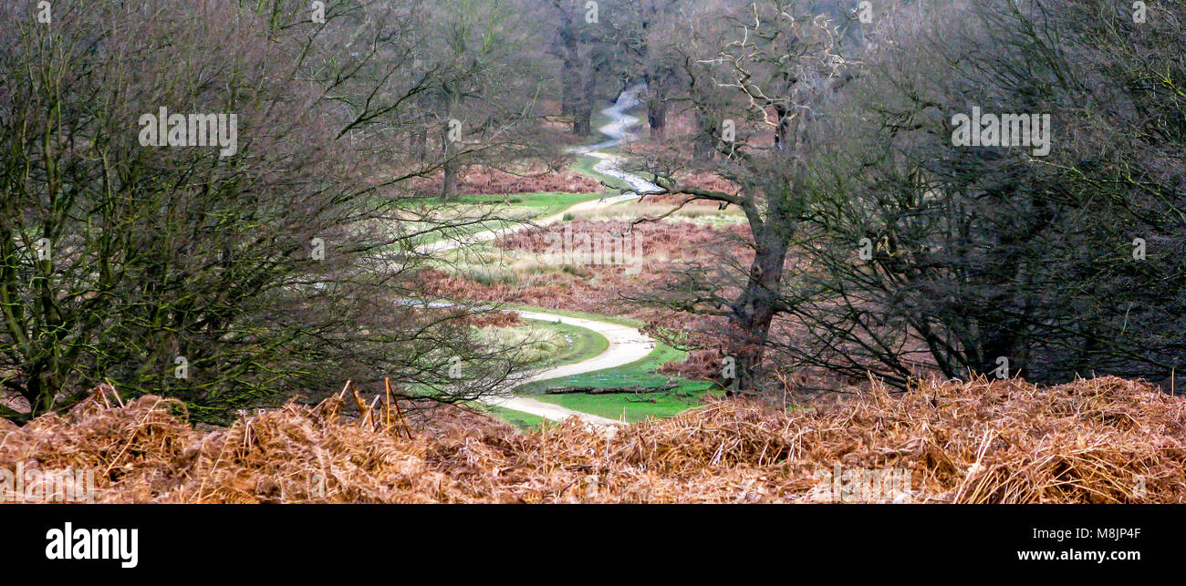 Ein gewundener Pfad Schlangen nach Broomfield Hügel zu Robin Hood Tor in Richmond Park, einem Naturschutzgebiet und ein besonderes Schutzgebiet Stockfoto