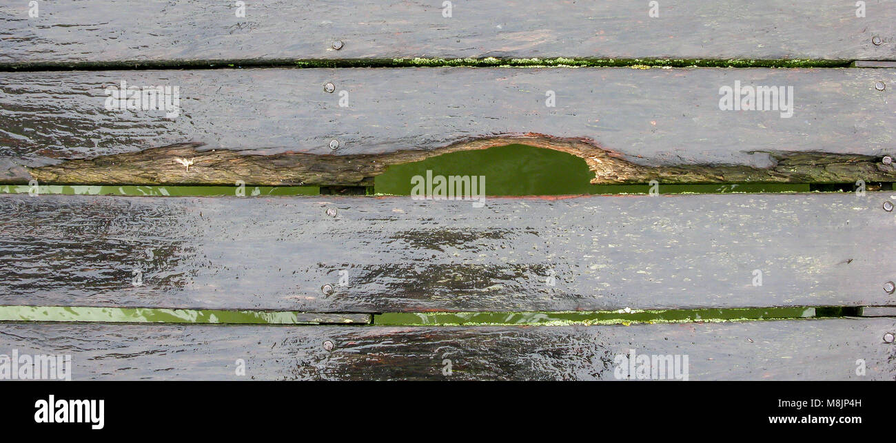 Von Brighton Pier beschädigt Nass reflektierende Eiche boardwalk zeigt das grüne Meer unten Schwenken Stockfoto