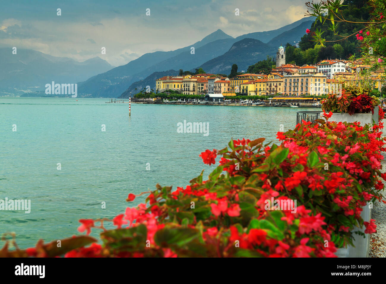 Berühmte Stadtbild mit bunten Luxus Gebäude und mediterranen Blumen, Bellagio, Comer See, Lombardei, Italien, Europa Stockfoto