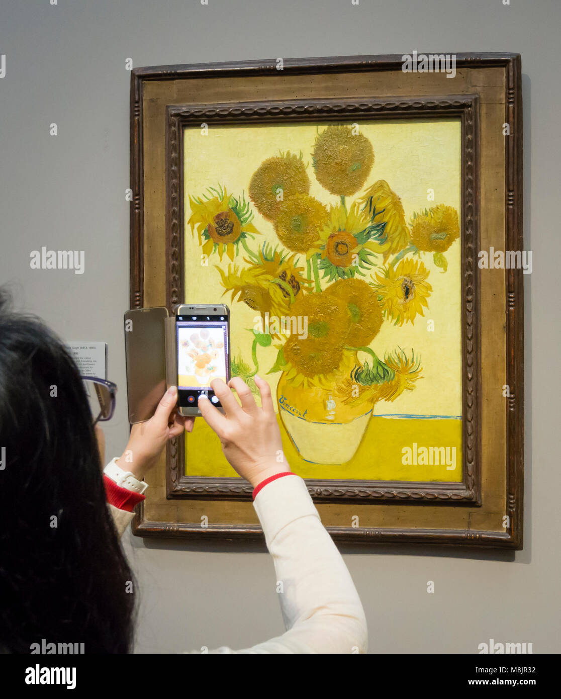London, Großbritannien - 1 May 2017: ein Besucher des Londoner National Gallery ist unter Verwendung Ihres Smartphones, um Bilder von Vincent van Gogh's Öl Malerei unflowers', eines der bekanntesten Exponate des Museums. Stockfoto