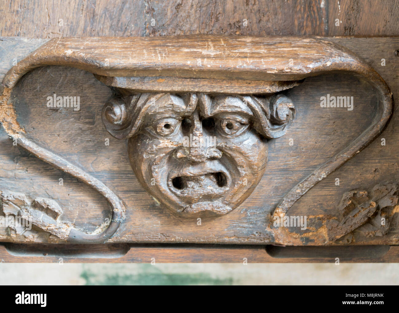 Misericord mit dem Schnitzen von offenen Mündern männlichen Kopf. St. Cuthbert Kirche Holme Lacy Herefordshire UK. März 2018. Stockfoto