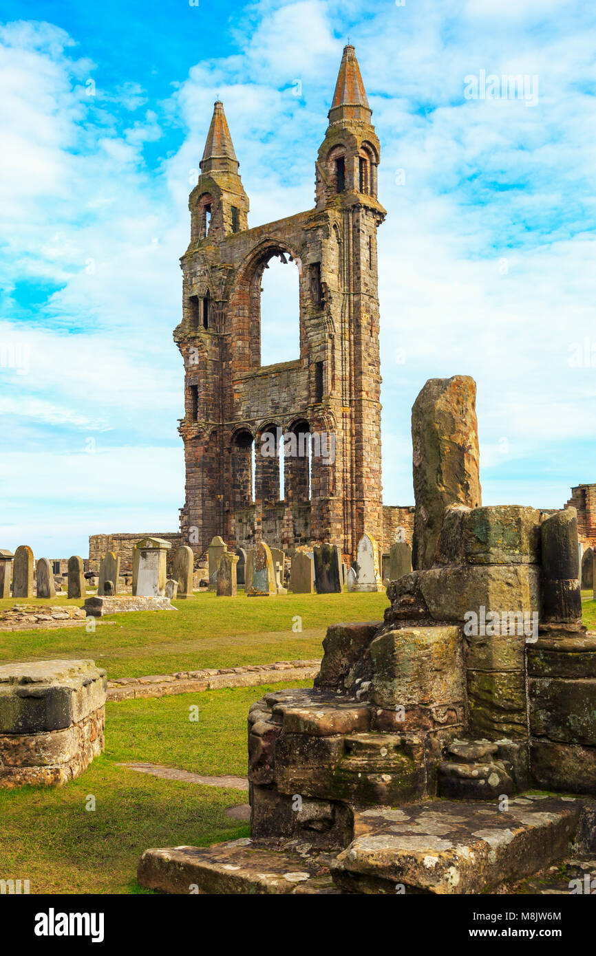 Detail der Ruinen von St Andrews Cathedral, St Andrews, Fife, Schottland Stockfoto