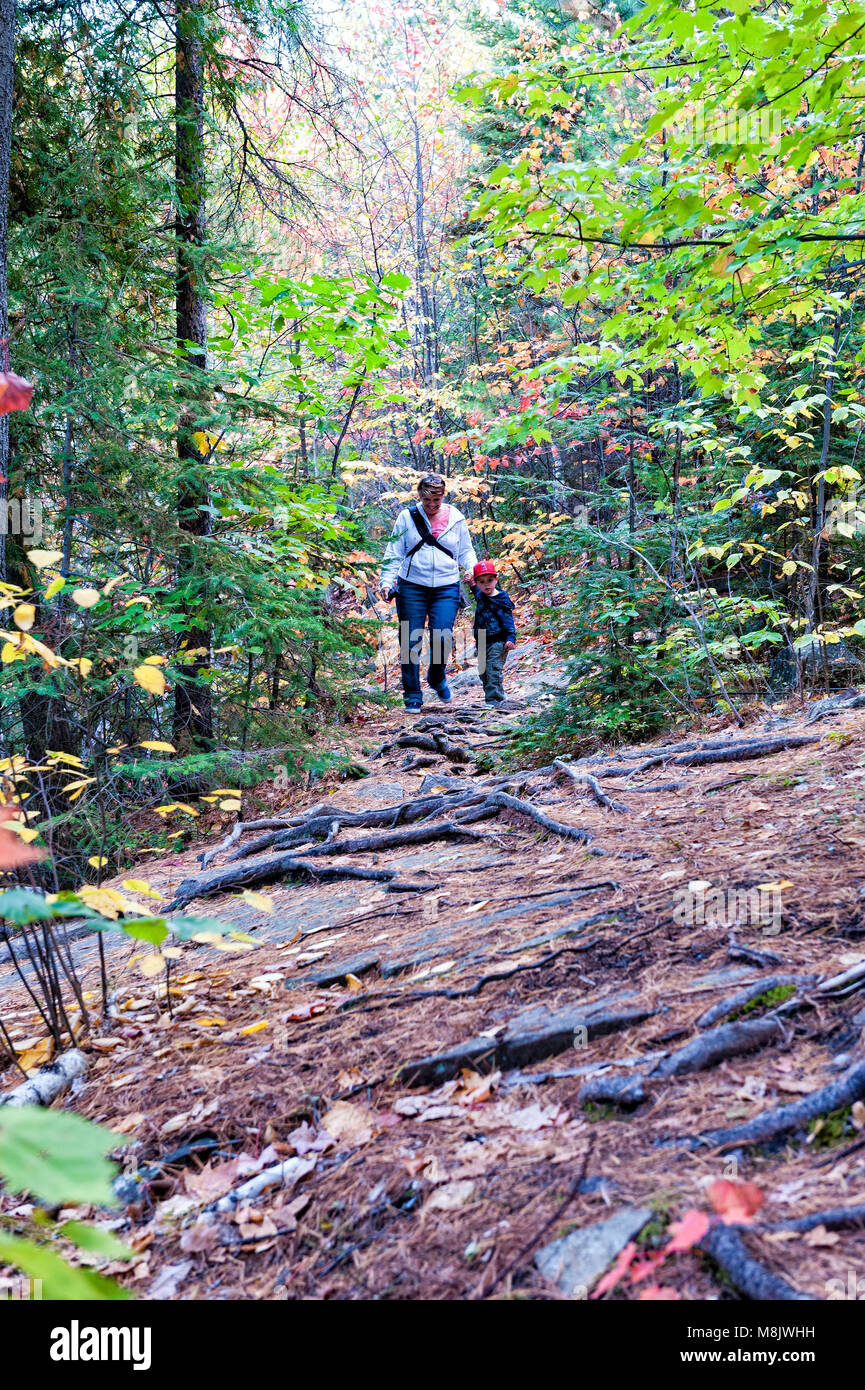 Eine Großmutter und ihr Enkel Wandern im Herbst Wald Stockfoto