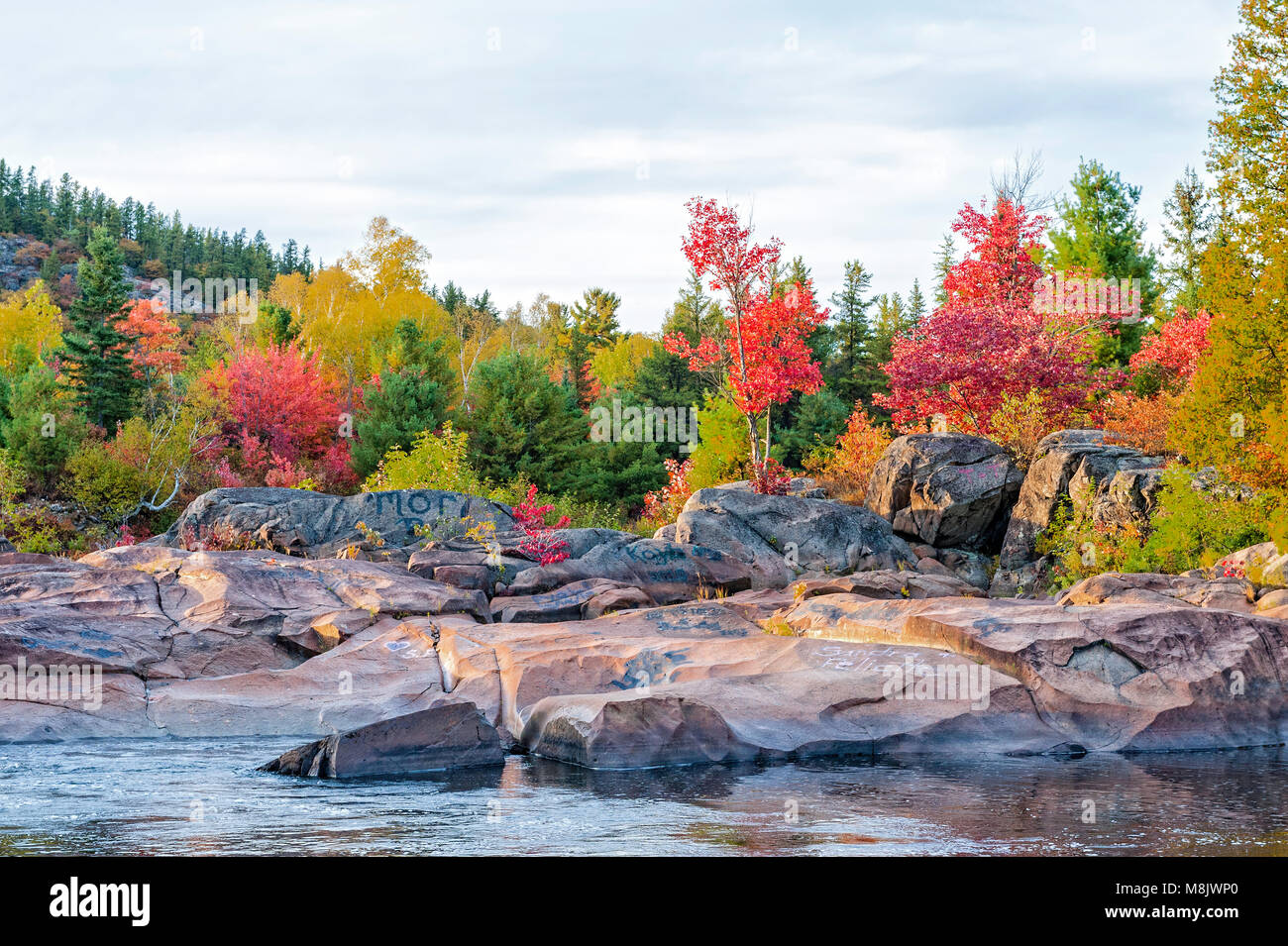 Schöne Herbstfarben auf Onaping Fluss, Northern Ontario Stockfoto