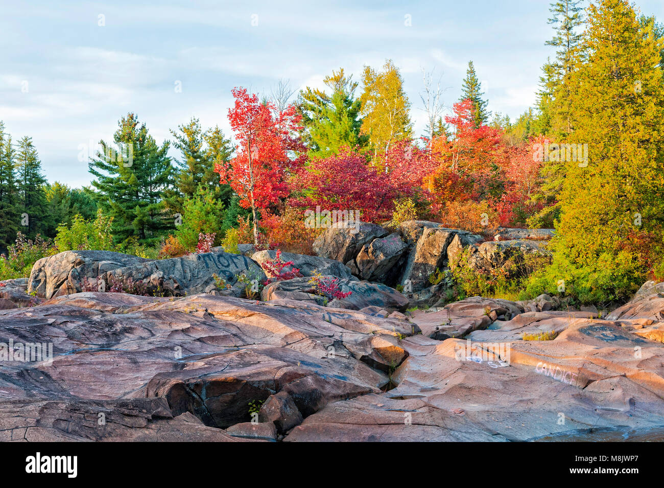 Schöne Herbstfarben auf Onaping Fluss, Northern Ontario Stockfoto
