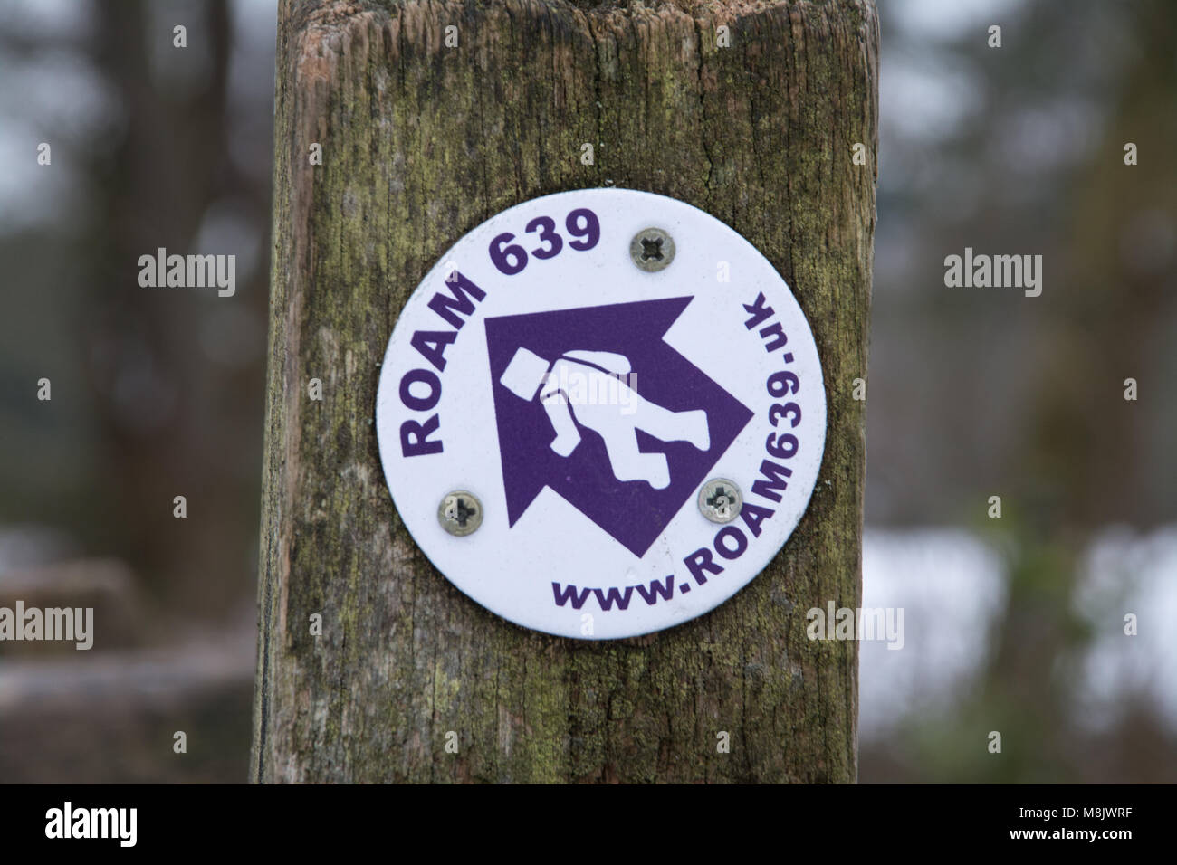 Wegweiser Marker für das Roaming 639 Trail am Devils Punchbowl in der Surrey Hills Stockfoto