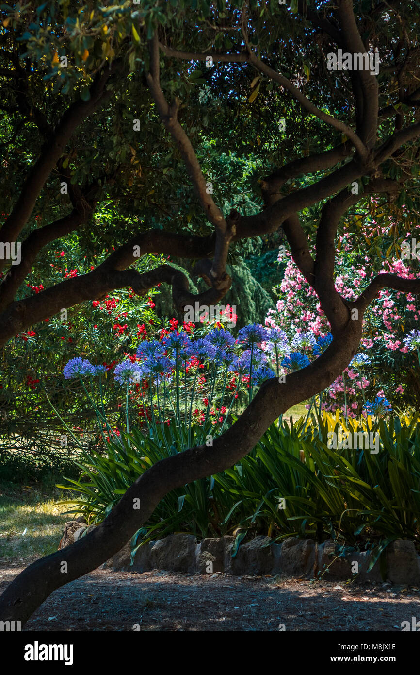 Blick auf die leuchtenden Blumen und Pflanzen unter Bäumen in den Schatten in der bunten angelegten Villa Celimontana Gärten von Rom auf der Celian Hill Stockfoto