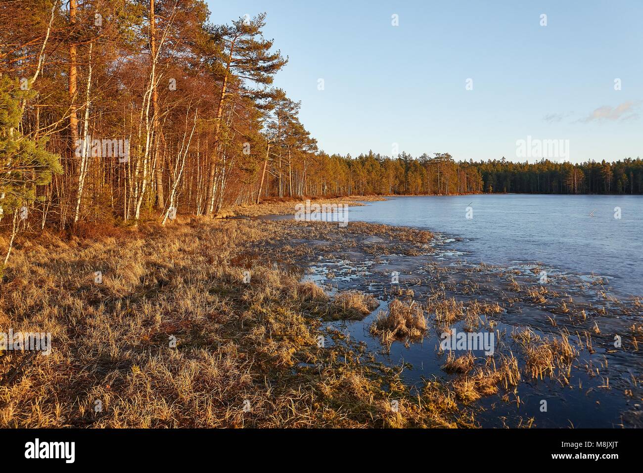 Lakeside in Finnland Stockfoto