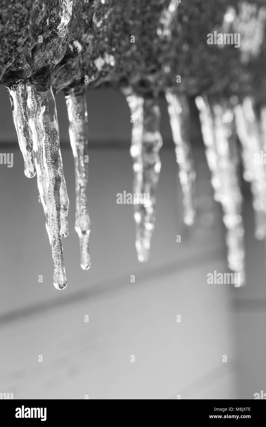 Eiszapfen Stockfoto