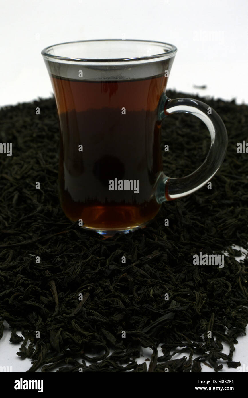 Masala Tee mit Gewürzen. Nationalen indischen traditionelles Getränk mit Tee, Milch und Gewürzen Stockfoto