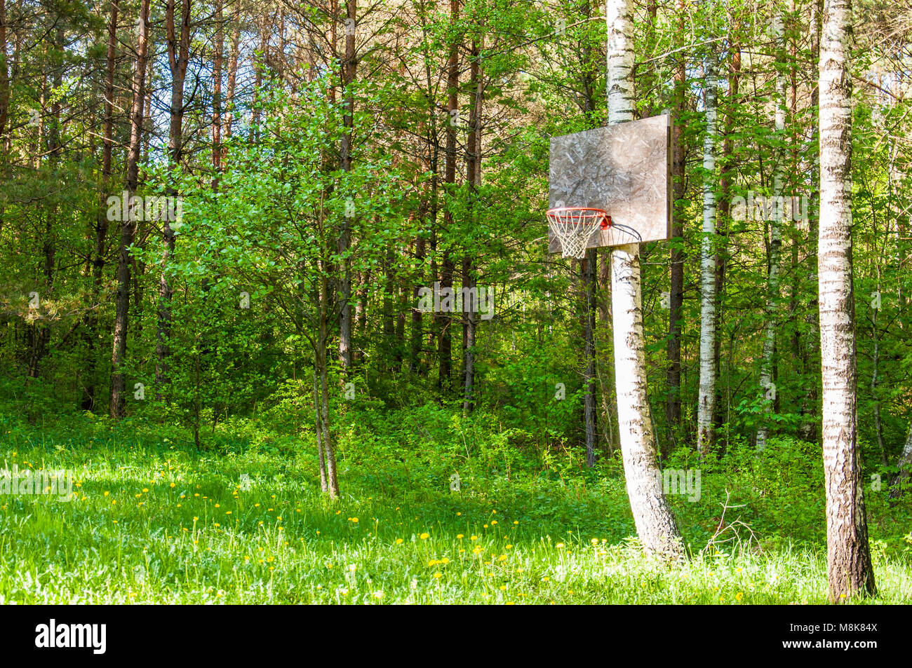Der Spielplatz Wiese mit Gras bewachsen. Erstaunlich, angepasst auf das Spiel, das jeder auf dem Planeten, und spielen Sie es überall dort, wo Sie sind Stockfoto