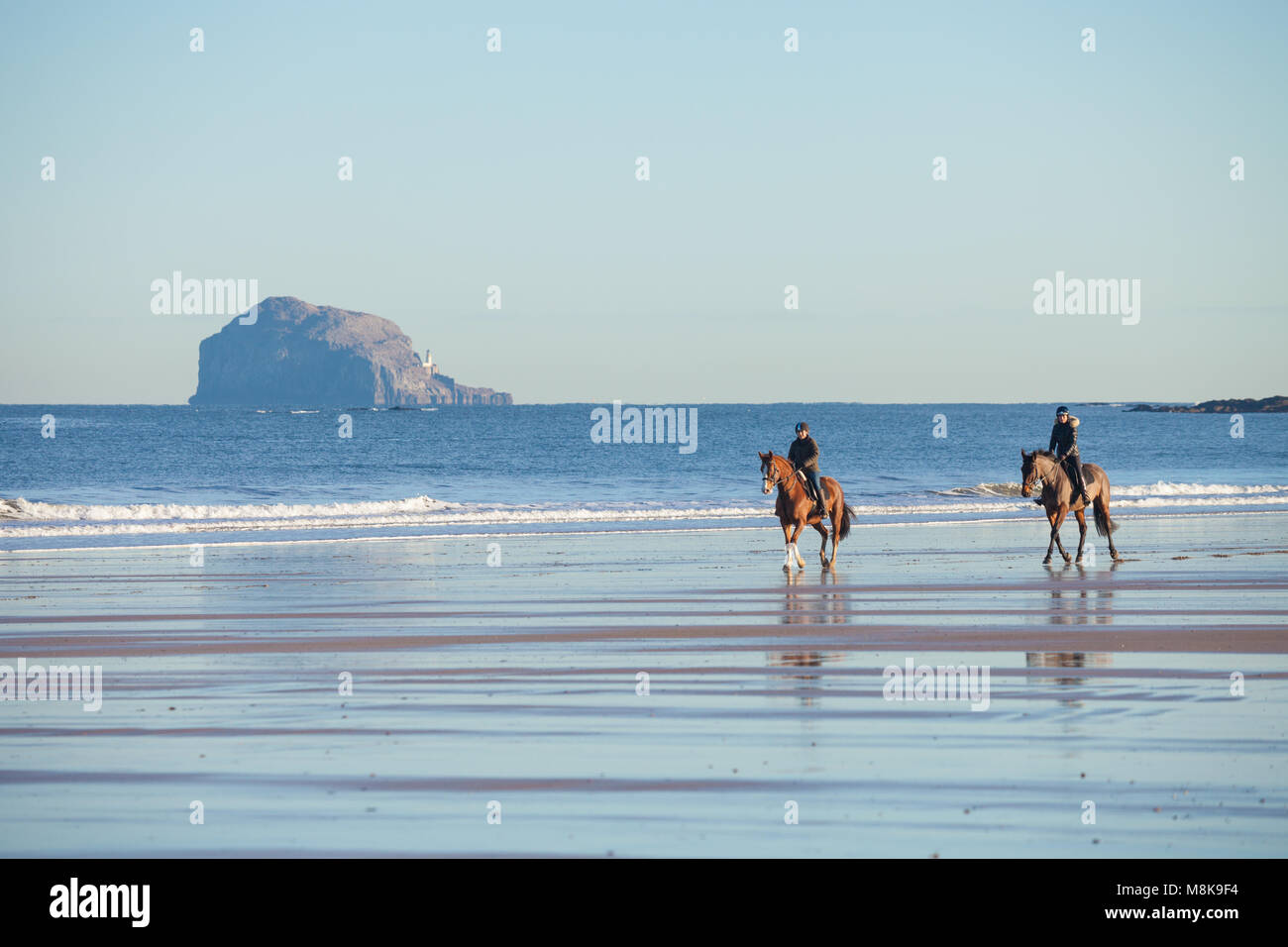 Zwei Reiter reiten ihre Pferde am Strand von North Berwick Schottland. Stockfoto