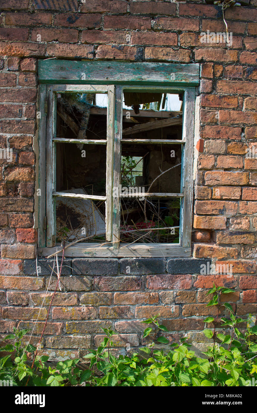 Eine alte verfallene, verrottete grünes Fenster Rahmen gegen einen roten Backsteinmauer, mit Pflanzen bewachsen und Brambles. Stockfoto