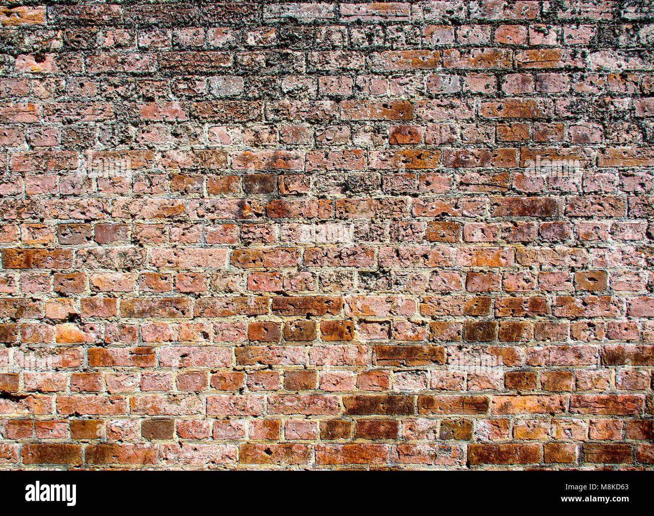 Abschnitt eines alten verwitterten Mauer Stockfoto