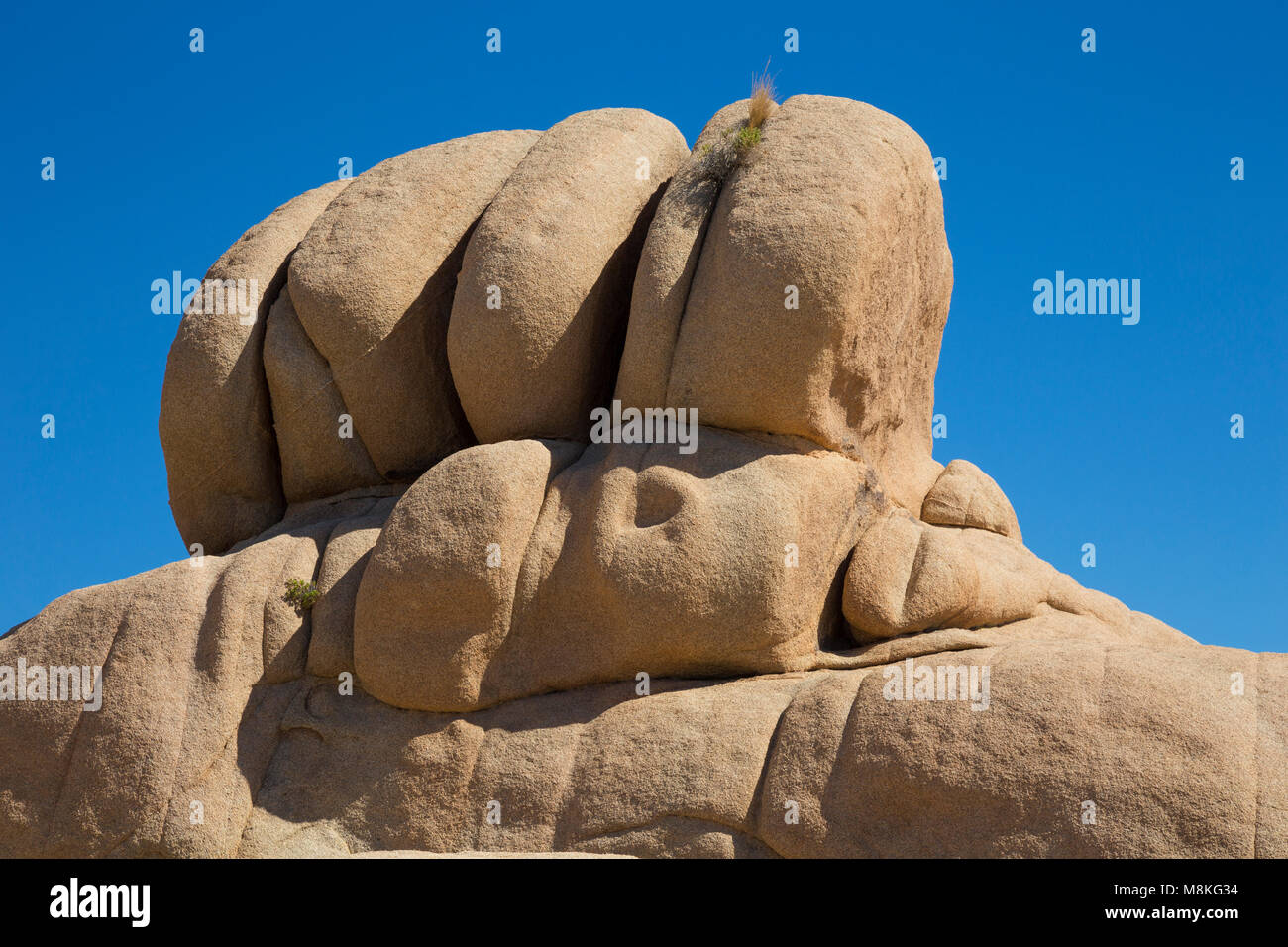 Felsformationen in der Nähe von Jumbo Rocks Campground, Joshua Tree National Park, Kalifornien, USA Stockfoto