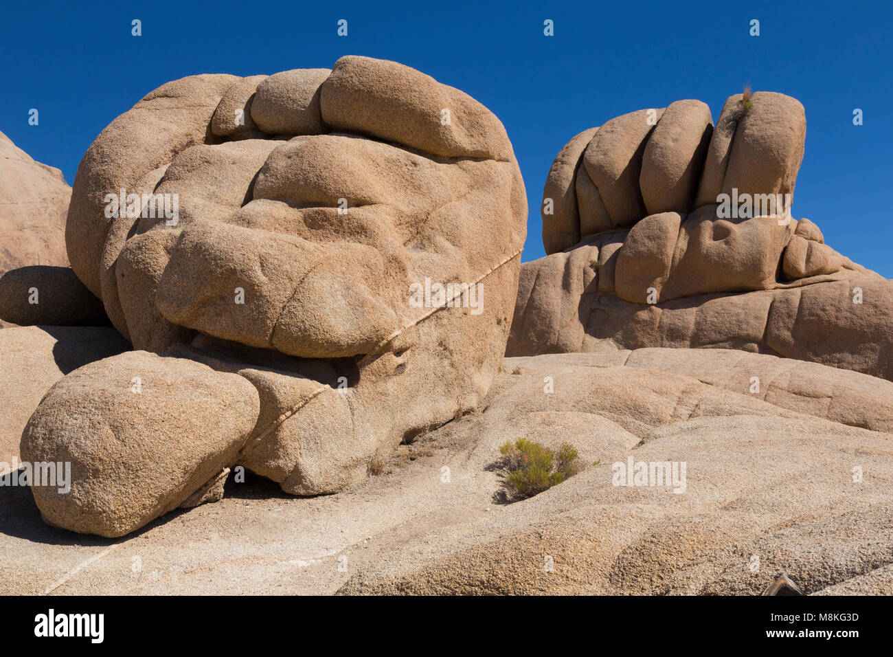 Felsformationen in der Nähe von Jumbo Rocks Campground, Joshua Tree National Park, Kalifornien, USA Stockfoto