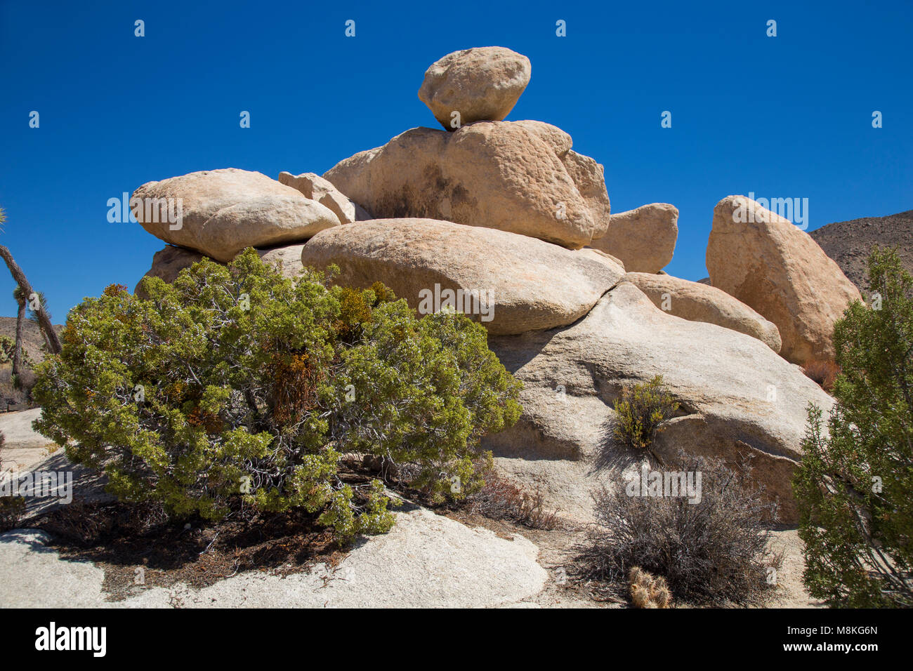 Halle der Schrecken, Joshua Tree National Park, Kalifornien, USA Stockfoto