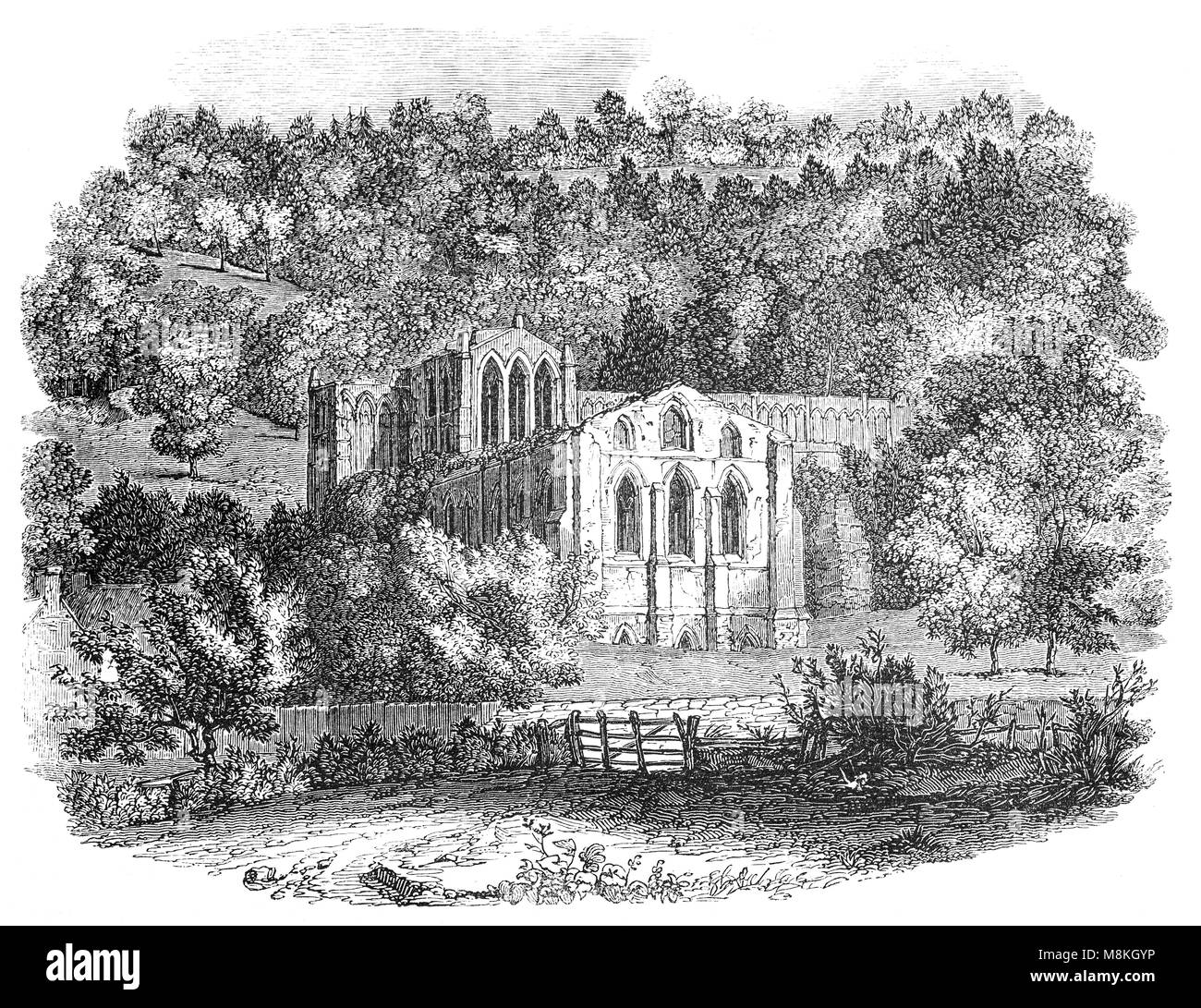 Rievaulx Abbey in der Nähe von Helmsley in North Yorkshire, England, war das erste Zisterzienserkloster im Norden Englands. 1132 um zwölf Mönche aus der Abtei von Clairvaux gegründet, war es eines der großen Abteien in England, bis er während der Auflösung der Klöster im Jahre 1538 ergriffen wurde. Zu welcher Zeit die Abtei besaß einen Prototyp Hochofen bei Laskill, Herstellung von Gusseisen so effizient wie eine moderne Hochofen. Stockfoto