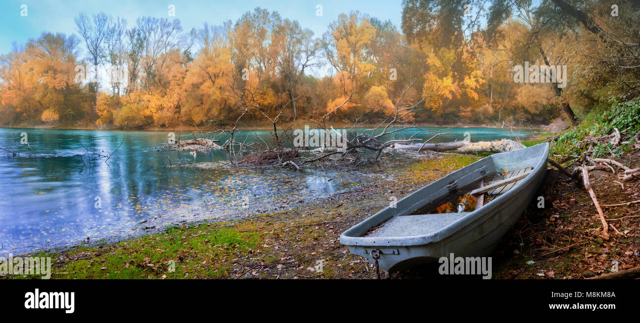Donauauen bei Wien Stockfoto